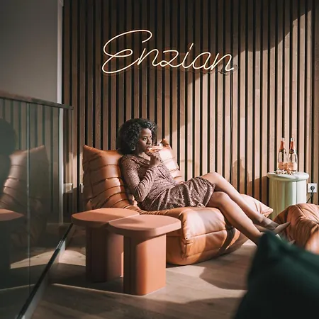 Enzian - Adults Only 4* 上陶恩